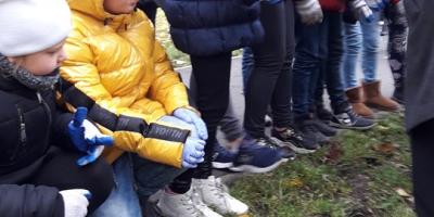 "Bursztynowe" kwiaty