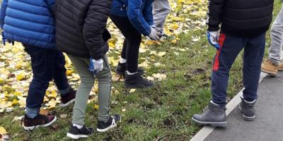 "Bursztynowe" kwiaty