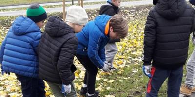 "Bursztynowe" kwiaty