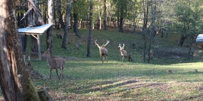 Dzień 4  - Revuca, Słowacja