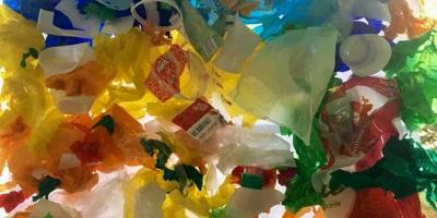 Dzień Globalnej Ekologii