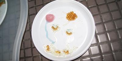 Dzień pełen chemicznych doświadczeń