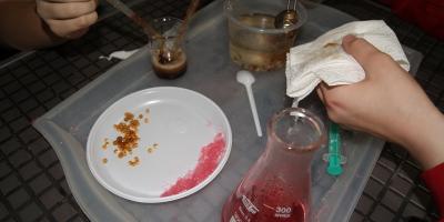 Dzień pełen chemicznych doświadczeń