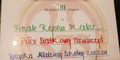Finał Rejonu Dziewcząt w piłce siatkowej