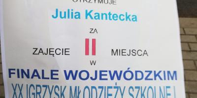 Finał wojewódzki IMS w pływaniu drużynowym