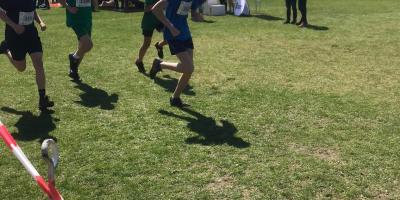 FINAŁ WOJEWÓDZKI W DRUŻYNOWYCH BIEGACH PRZEŁAJOWYCH