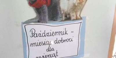 Kolejny „aktywny piątek”