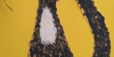 Konkurs Plastyczny "Mam kota"