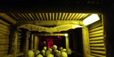 Kopalnia soli w Kłodawie