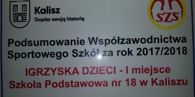 Podsumowanie współzawodnictwa spotrowego zskół za rok 2017/2018