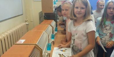 Pokaz ptaków egzotycznych