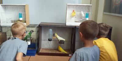 Pokaz ptaków egzotycznych