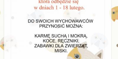 Światowy Dzień Kota - zbiórka karmy