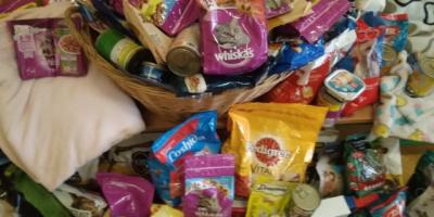 Zbiórka karmy dla kotów zakończona